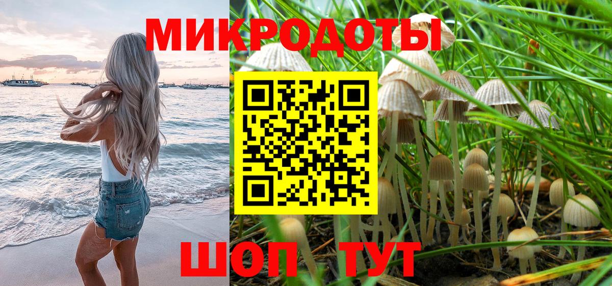 Камышлов  Псилоцибиновые грибы GOLDEN TEACHER  продажа наркотиков  Вход с VPN 